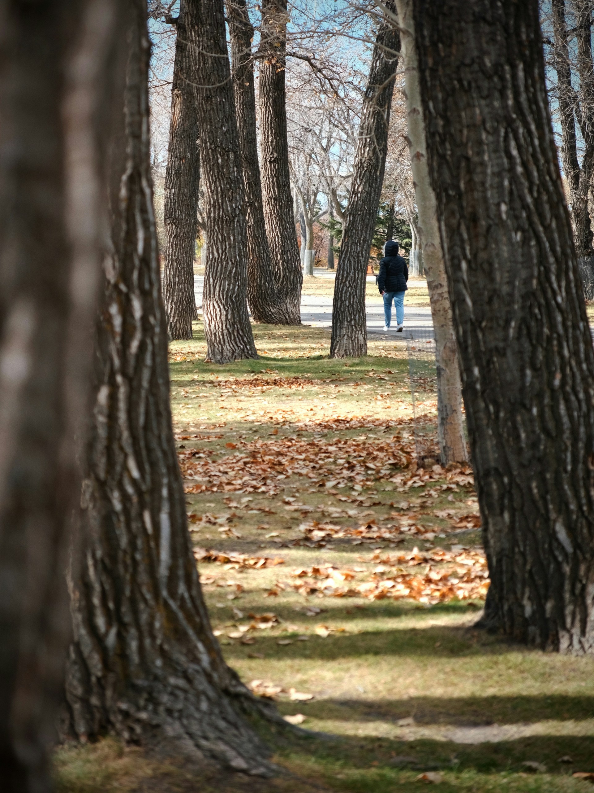 Kebahagiaan dari Hal-Hal Sederhana